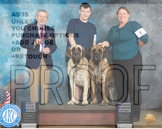 Mastiff #8 #6 RWB & 1st Judge Terry Stacy_MJ_5852e_Ark2023_HR3