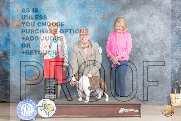 Bulldog #10 SAT OHBIS Judge Jan PaulkMJP_1219_Abilene2023_HR3