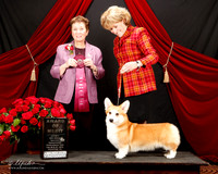#94 Award of Merit SHERRI HURST Judge Theresa Maddox
