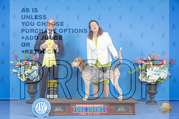 American English Coonhound # THUR G3 Judge Jamie Hubbard__JP_8605_Houston_2024_HR3