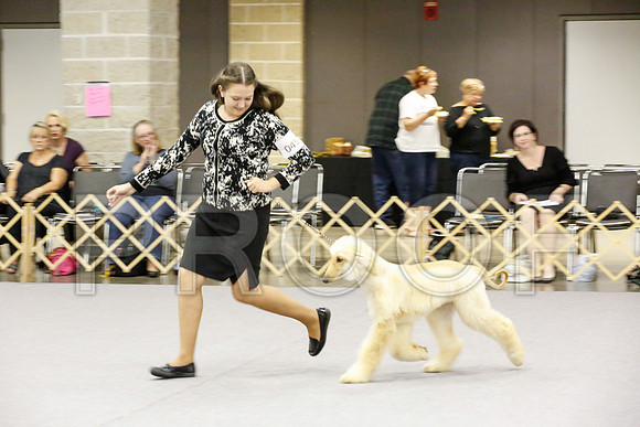 _JJ_8588-AfgBeltonOct2014-HR3