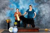 Bouvier #6 Sun G3 Judge Sandra Walker