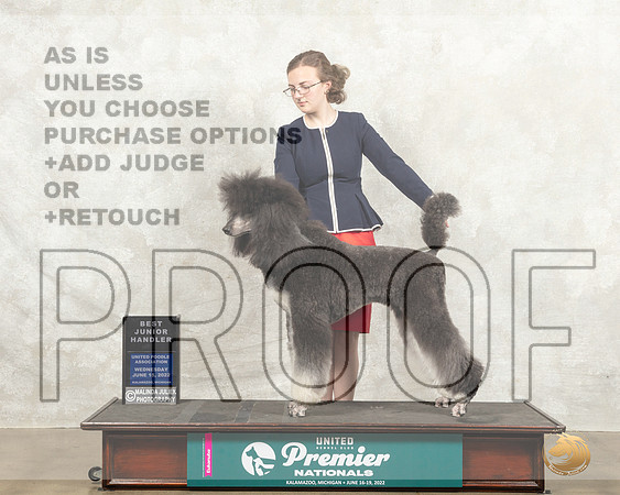 Poodle Std MC #438 Wed BJr Judge Sharon Griffin_MMJ_6882_Premier_2022_HR3