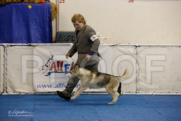 _M3_0478-AddisonHuskyMar2015-HR3