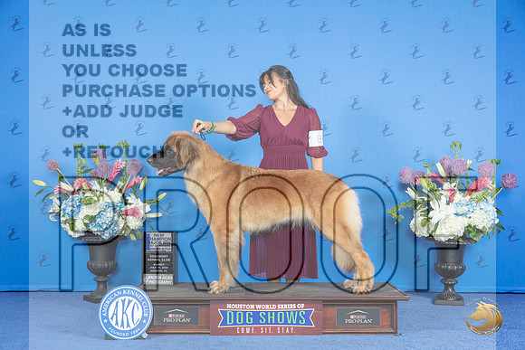 Leonberger #8 SUN WB BOW NC M Judge Ronald Freeman__JP_0027_Houston_2024_HR3