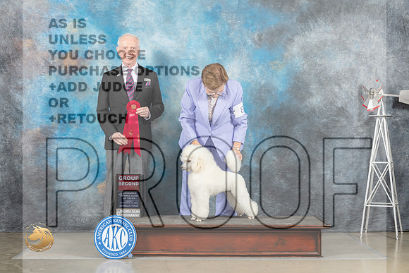 Poodle Miniature #8 Sun G2 Judge Fred Bassett_MJ_5174_Amarillo_2022_HR3