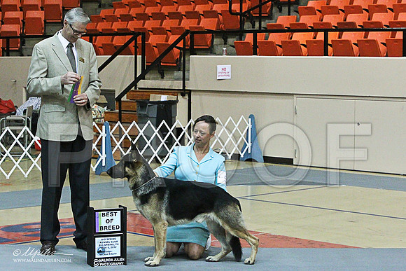 win photo-5781LR