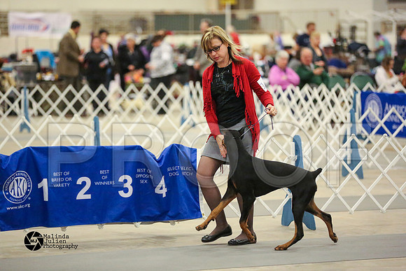 dobe-8103-MidFeb14-HR