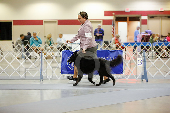_JN_6579-AmarilloSept2014-HR3