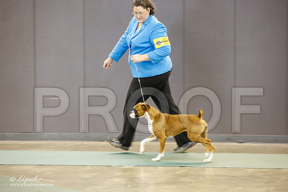 _JN_1638-BeltonJan2015-HR3