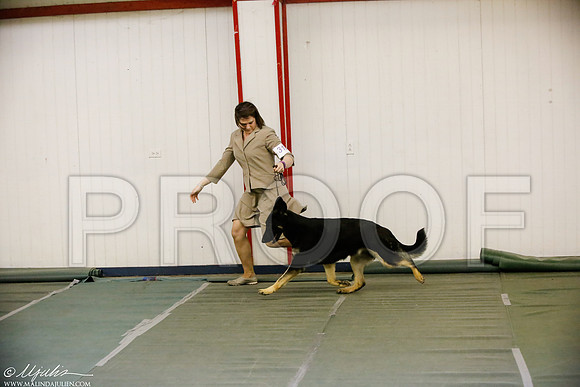 _MJ_5723-DentonMar2015-HR3