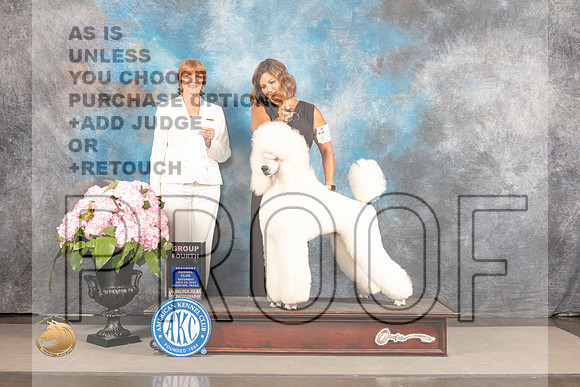 Poodle Std #31 Sat G4 Judge Linda Hurlebaus_MJ_7361_Houston_2022_HR3