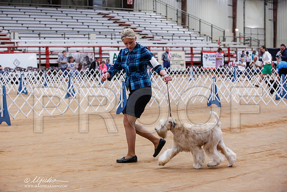 _JJ_8228-TxArJun2014-HR3