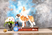 St Bernard #5 Sun WDBOS Judge Luis Sosa NO JUDGE
