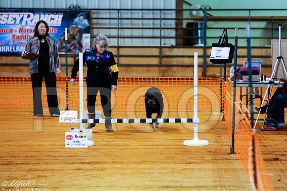 _RH_4539-MarshDec2014-HR