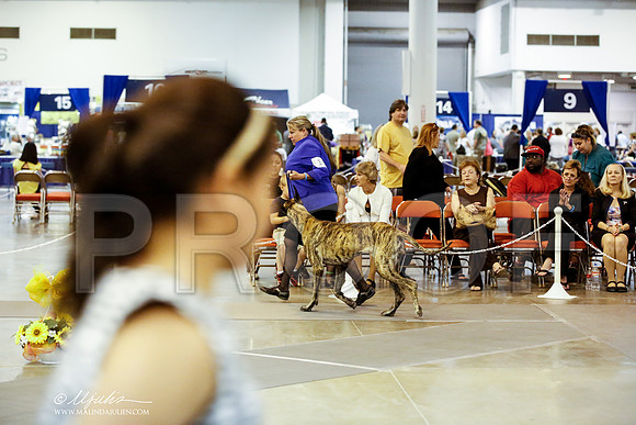 _JN_7601-HstnJul2014-HR3