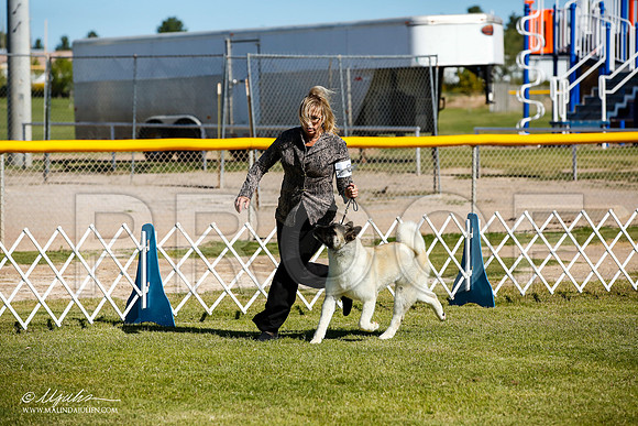 _JJ_9862-AlamogordoOct2014-HR3