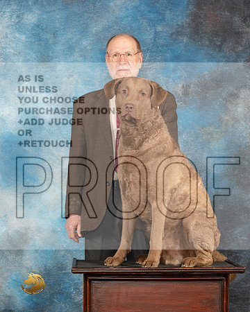 Chesapeake Bay Retriever Melvin and Brodie_JP_7868_SulSprng2023_HR3