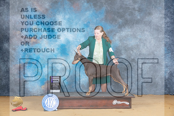 Doberman Pinscher #8 Sat WB Judge Bridget Brown_JP_7874_SulSprng2023_HR3