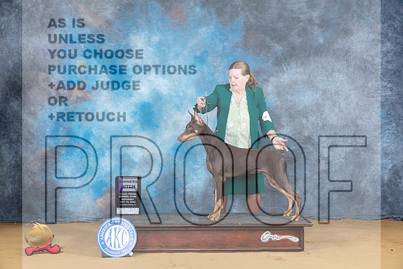 Doberman Pinscher #8 Sat WB Judge Bridget Brown_JP_7879_SulSprng2023_HR3