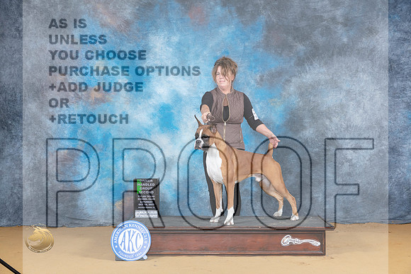 Boxer #5 Sat OHG2 Judge Bridget Brown_JP_8136_SulSprng2023_HR3