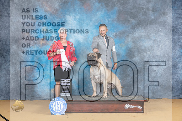 Bulmastiff #5 Sat G4 Judge Lee Anne Bateman_JP_8124_SulSprng2023_HR3