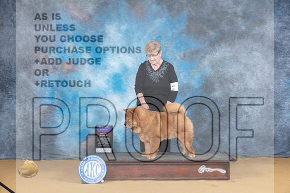 Chow #5 Sat BOBOHBOB Judge Carol Graham_JP_8178_SulSprng2023_HR3
