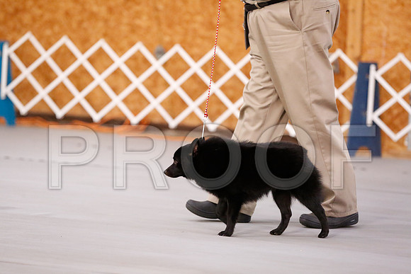 _RH_7570-CarlrolltonSept2014-HR3