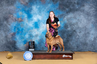 Chinese Shar Pei #5 Sat OHBIS Judge Carol Moser