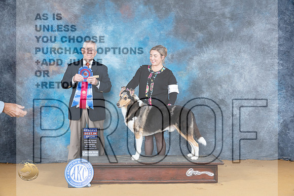 Collie Smooth #5 Sat RBIS Judge Richard Lewis_JP_8354_SulSprng2023_HR3