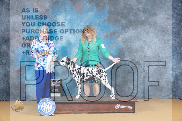 Dalmatian #7 Sat G4 Judge Carol Graham_JP_8306_SulSprng2023_HR3