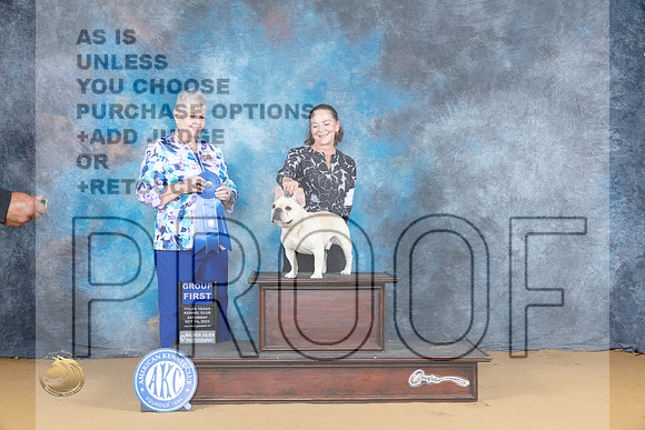 French Bulldog #19 Sat G1 Judge Carol Graham_JP_8320_SulSprng2023_HR3