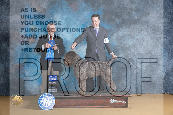 Wirehaired Pointing Griffon #5 Sat G1 Judge Richard Lewis_JP_8338_SulSprng2023_HR3