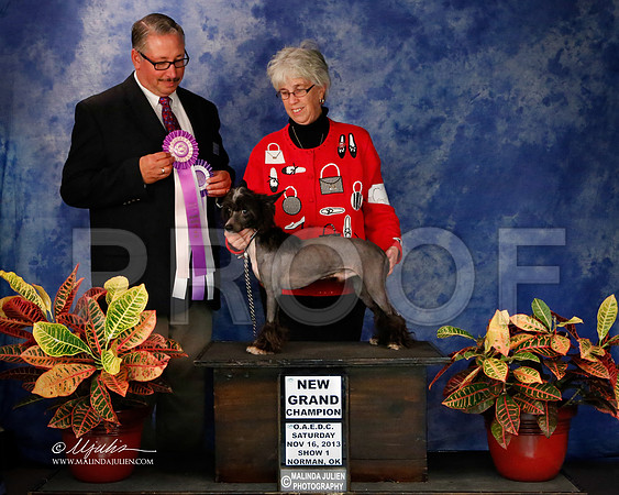 CC-8693-NormNov2013-HR