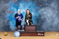 Boston Terrier #12 Sun BOB Judge Lee Anne Bateman
