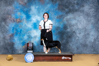 Miniature American Shepherd #12 Sun 6-92nd Judge Richard Lewis