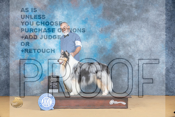 Collie Rough #7 Sun_JP_8613_SulSprng2023_HR3