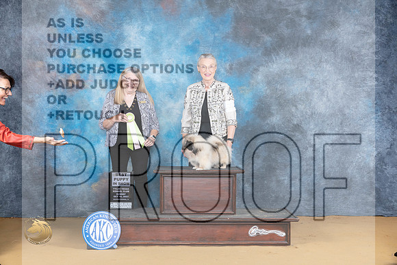 Pekingese #4-6 PBIS Judge Bridget Brown_JP_8622_SulSprng2023_HR3