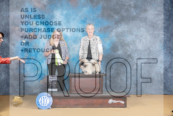Pekingese #4-6 PBIS Judge Bridget Brown_JP_8623_SulSprng2023_HR3