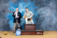 Beagle 13" #6 Sun G4 Judge Richard Lewis
