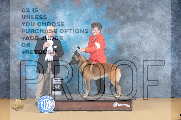 Belgian Malinois #5 Sun G4 Judge Richard Lewis_JP_8770_SulSprng2023_HR3