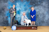 Bulldog #10 Sun OHRBIS Judge Gary Myers