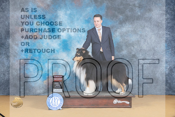 Collie Rough #5 Sun G2 Judge Richard Lewis_JP_8811_SulSprng2023_HR3
