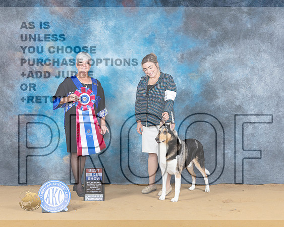Collie Smooth #5 Sun BIS Judge Lee Anne Bateman_JP_8905_SulSprng2023_HR3