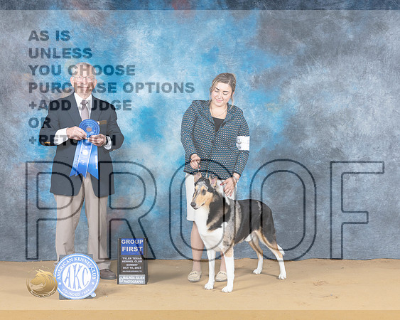 Collie Smooth #5 Sun G1 Judge Richard Lewis_JP_8898_SulSprng2023_HR3