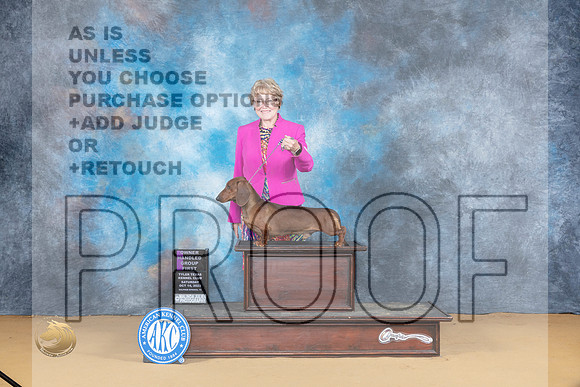 Dachshund Smooth #5 Sun OHG1 Judge Carol Moser_JP_8957_SulSprng2023_HR3