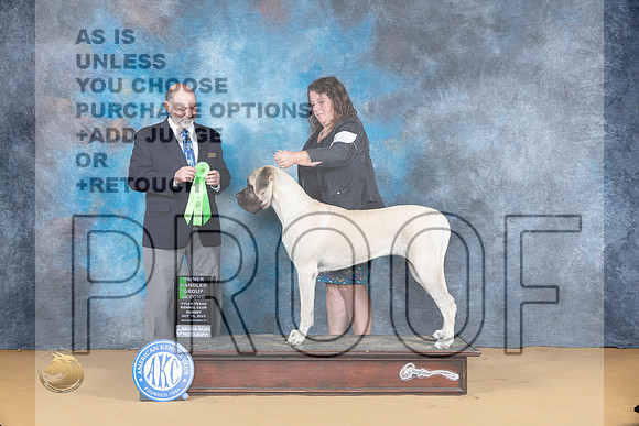Mastiff #6 Sun OHG2 Judge Thomas Schoneberger_JP_8684_SulSprng2023_HR3