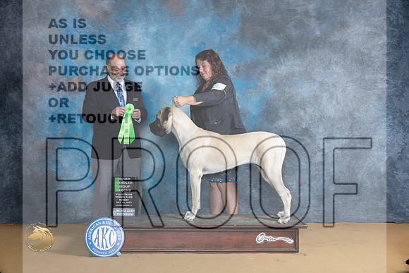 Mastiff #6 Sun OHG2 Judge Thomas Schoneberger_JP_8688_SulSprng2023_HR3