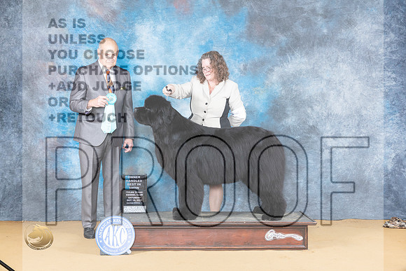 Newfoundland #5 Sun OHBIS Judge Gary Myers_JP_8946_SulSprng2023_HR3