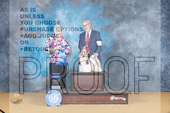 Shih Tzu #14 Sun G1 Judge Carol Graham_JP_8827_SulSprng2023_HR3